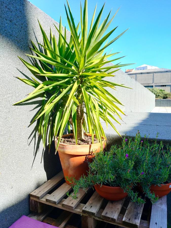 Porto Santa Catarina - Apartment With Terrace Dış mekan fotoğraf